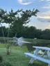 Guest photo from Google review