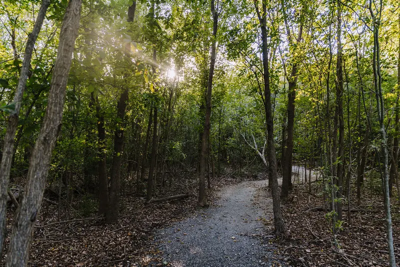 Wooded walking trail at Sugar Hill RV Resort