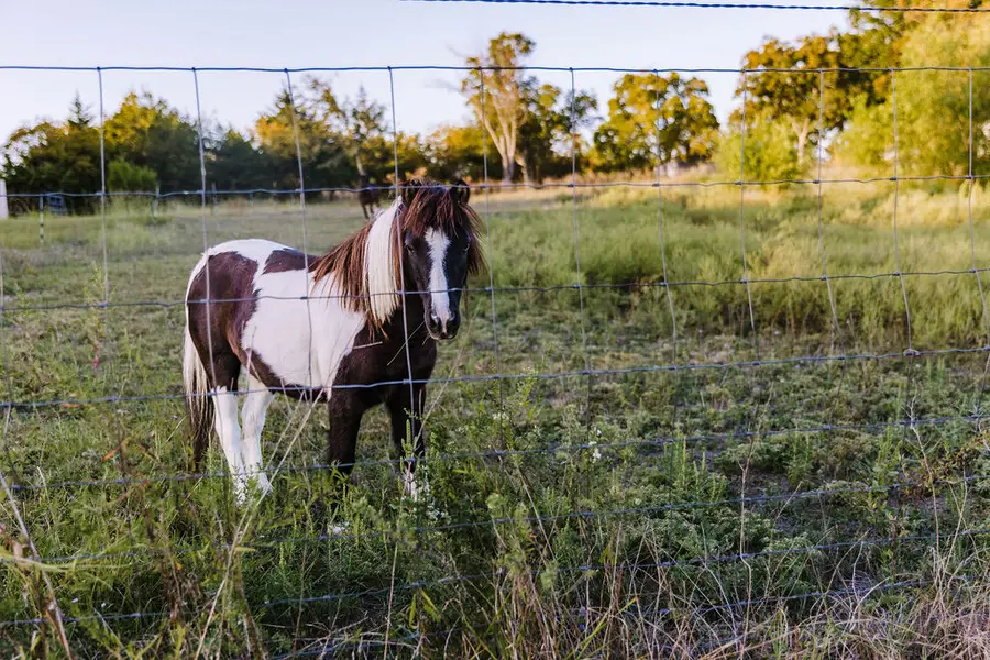 Country Views at Sugar Hill RV Resort, Anna, TX